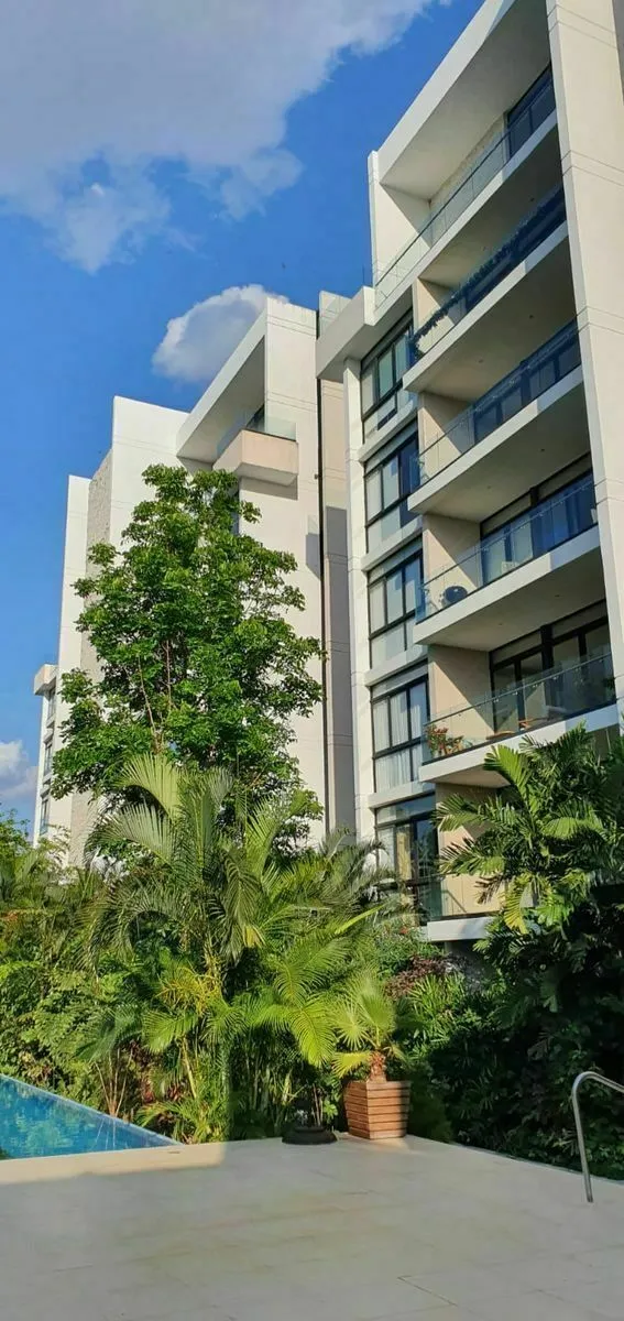 Jardín tropical privado del departamento, con la luz de la mañana entre las palmas